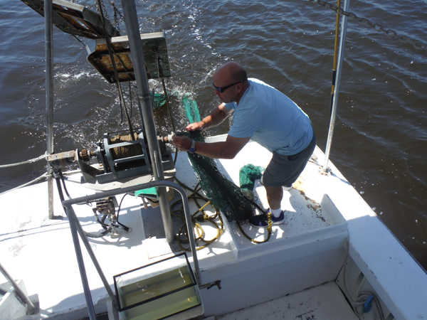 Bringing in the net and catch